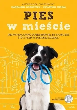 Pies w mieście - Katarzyna Migdał, Magdalena Horodyska