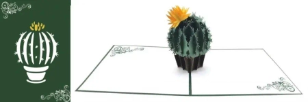 Karnet 12x18cm + koperta POP-UP Kaktus - DaVinci