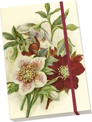 Notatnik ozdobny A5 STNOTE 141 Ciemiernik - Skona Ting