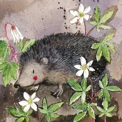 Podkładka pod kubek C121 Jeż Prickly - Alex Clark