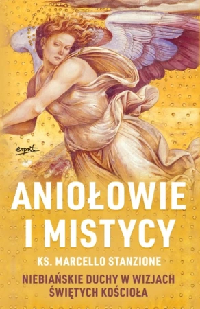 Aniołowie i mistycy. Niebiańskie duchy w wizjach świętych Kościoła - Marcello Stanzione