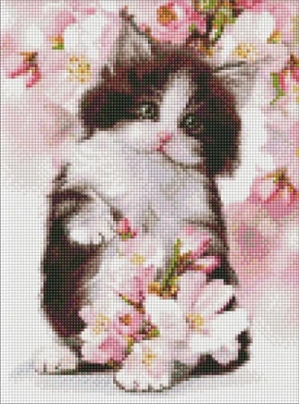 Diamentowa mozaika - Puszysty kotek 30x40cm - Ideyka