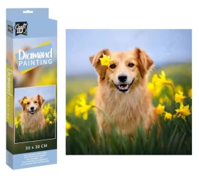 Diametowy obraz - Piesek 30x30cm - Icom