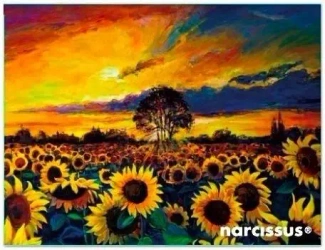 Teczka kopertowa PP A6 Słoneczniki - Narcissus