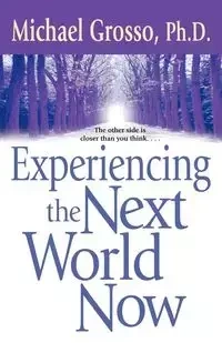 Experiencing the Next World Now - Michael Grosso