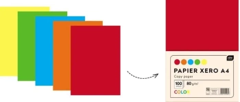 Papier ksero A4/100 5 kolorów intens. x 20K - INTERDRUK