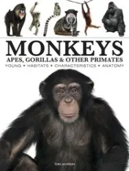 Monkeys - Jackson Tom