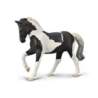 Ogier Ciepłokrwisty Czarny Tobiano - Collecta