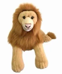 Lew 60cm - Dubi