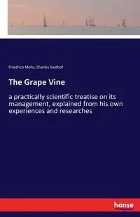 The Grape Vine - Mohr Friedrich