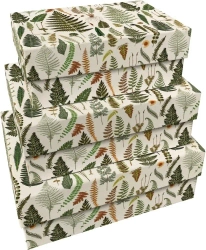 Pudełka ozdobne Paprocie 3szt - Skona Ting