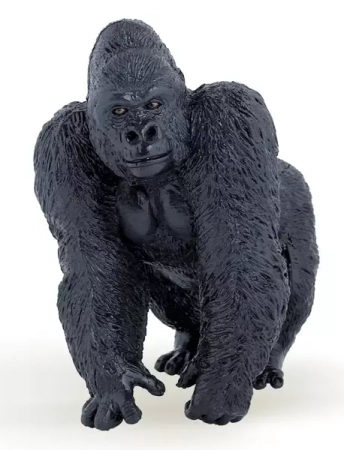 Goryl - PAPO