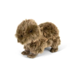 Kapibara - One for Fun