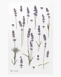 Naklejki ozdobne kwiaty Lawenda - Appree