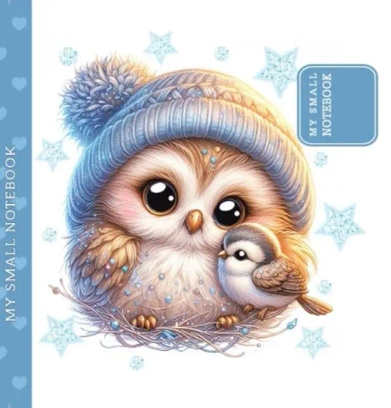Notatnik ozdobny 100x100 48 stron gładki TW Sówka - Fresh
