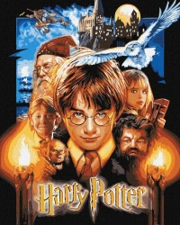 Malowanie po numerach -Harry Potter metal 40x50cm - Ideyka