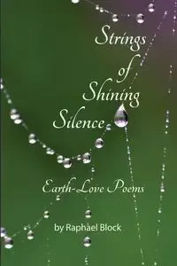Strings of Shining Silence - Raphael Block
