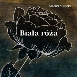 Biała róża - Maciej Stupera