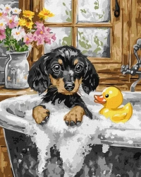 Malowanie po numerach - Dzień kąpieli 40x50cm - Ideyka