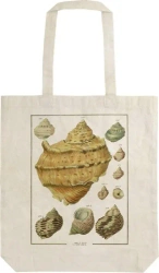 Torba bawełniana STBAG 73 Muszle - Skona Ting