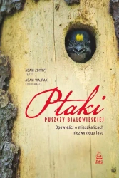 Ptaki Puszczy Białowieskiej. Opowieści o mieszkańcach niezwykłego lasu - Adam Zbyryt, Adam Wajrak