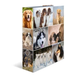 Segregator A4 - Psy - Herma