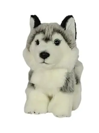 Pies husky 19cm pluszaki Dubi