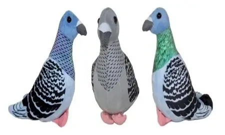 Gołąb 22cm MIX - Sun-Day