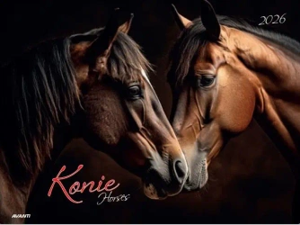 Kalendarz 2026 ścienny albumowy 28,5x20cm Konie - AVANTI