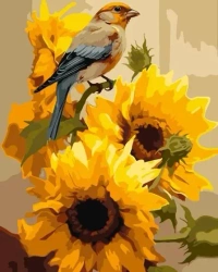 Malowanie po numerach - Zięba na psiance 40x50cm - Qbee