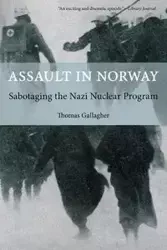 Assault in Norway - Thomas Gallagher