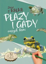Płazy i Gady naszych lasów. zeszyt z kalką - Katarzyna Kopiec Sekieta