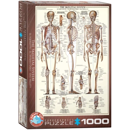 Puzzle 1000 elementów. Układ szkieletowy