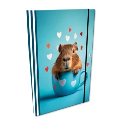 Notes A5 kratka z gumką Soft Touch Capybara - EV-Corp