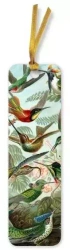 Zakładka do książki BKMK82 Kolibry Ernst Haeckel - Flame Tree PAP
