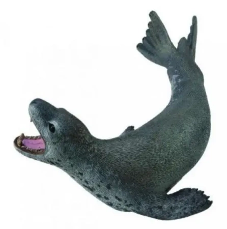 Lampart morski - Collecta