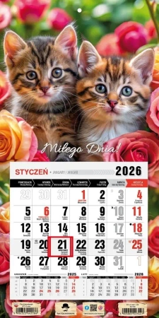 Kalendarz 2026 jednodzielny mini kotki - Pan Kalendarzyk
