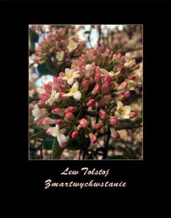eBook Zmartwychwstanie - Lew Tołstoj epub mobi