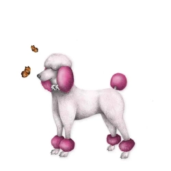 Karnet Swarovski kwadrat CL0307_BL Pudel - Clear Creations