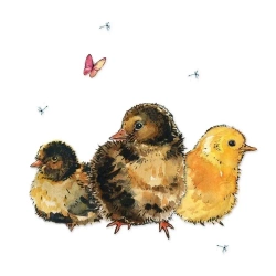 Karnet Swarovski kwadrat CL1228 Pisklęta - Clear Creations