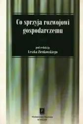 Co sprzyja rozwojowi gospodarczemu - Zienkowski Leszek
