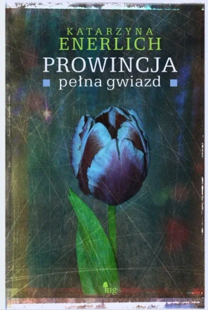 eBook Prowincja pełna gwiazd - Katarzyna Enerlich epub mobi