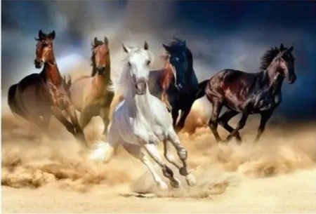 Diamentowa mozaika konie w galopie na piachu NO-1006299 - Norimpex