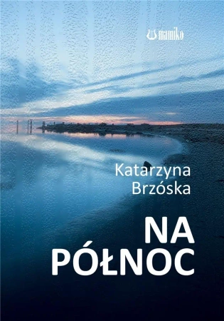 Na północ - Katarzyna Brzóska