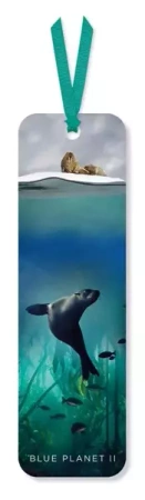 Zakładka do książki Galapagos Sea Lion - Museums & Galleries