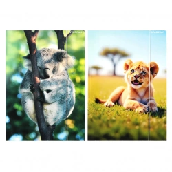 Teczka z gumką A4 Wild Animal 2 mix - STARPAK