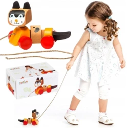 Kot spacerujący - Cubika