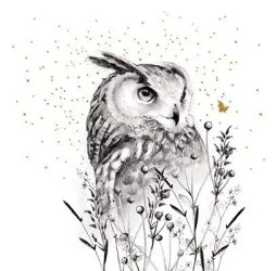 Karnet złocony kwadrat CL3817_BL Sowa - Clear Creations