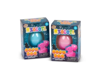 Axolot wykluwający się - One for Fun