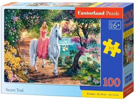 Puzzle 100 Secret Trail CASTOR - Castorland